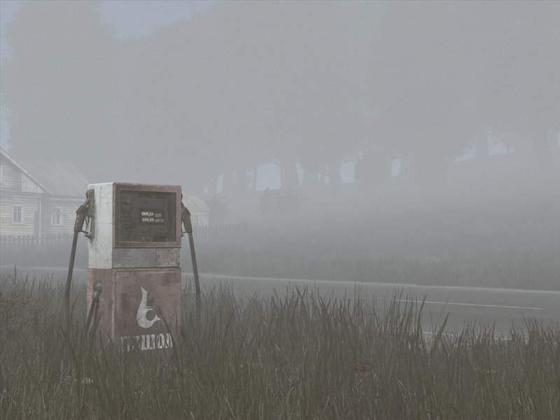 Illustration for article titled ​Photos From The Frontlines of DayZ